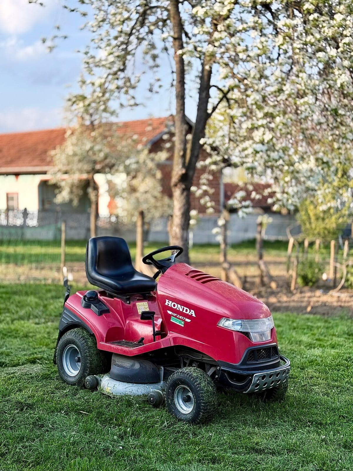 Push mower cutting a lawn at a high setting leaving a healthy green stripe