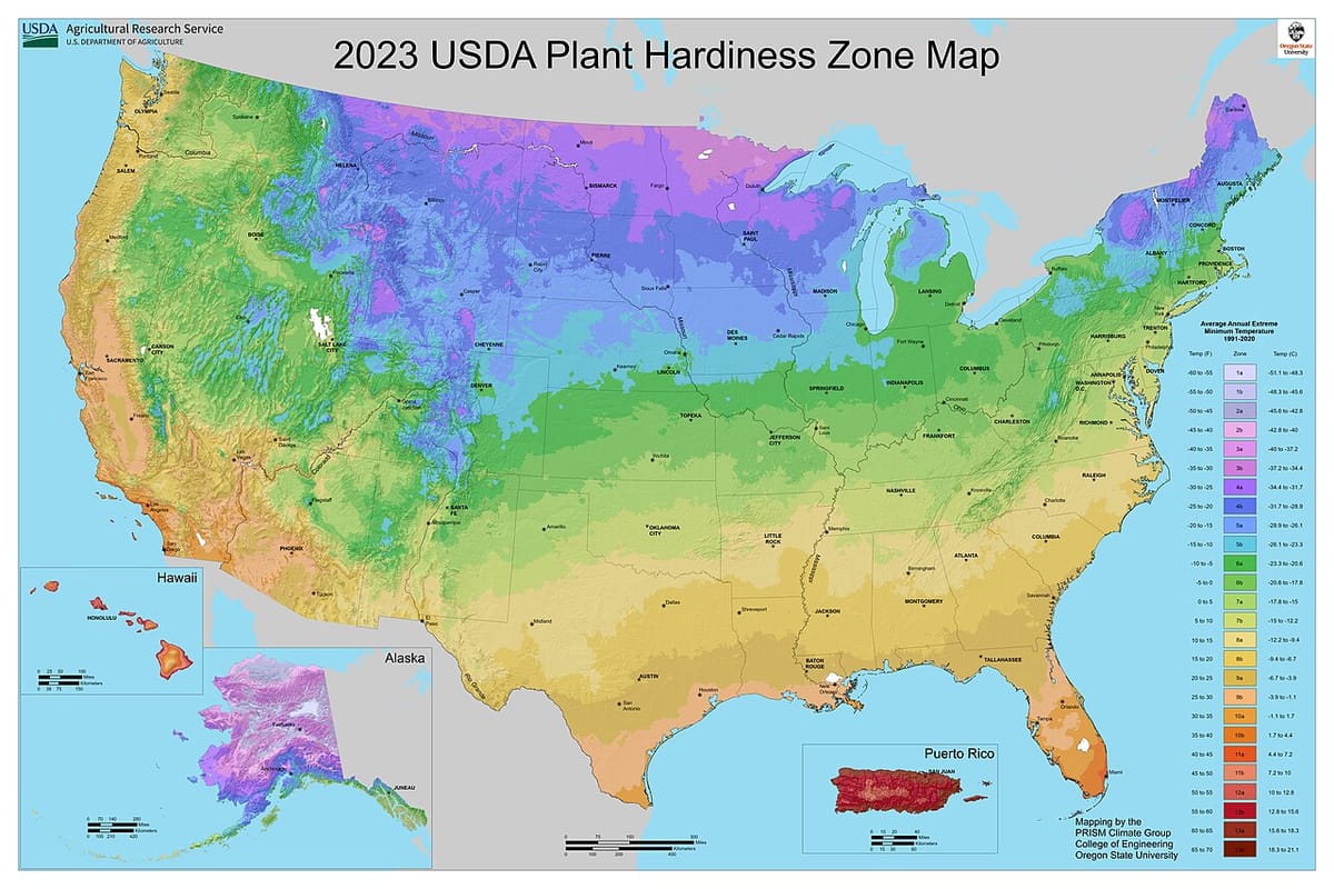 Illustrated USDA plant hardiness zone map with a plant tag showing a zone range